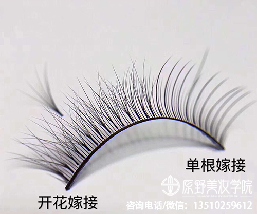 惠州纹绣培训学校该怎么报名，纹绣美睫培训机构需要多少钱
